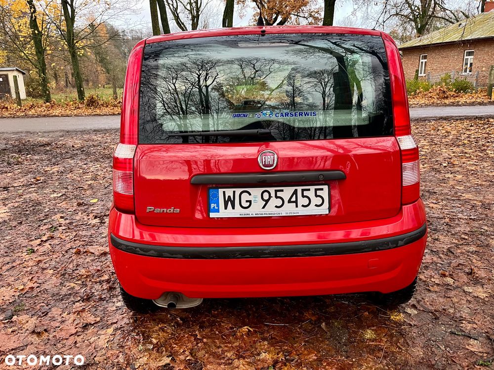 Fiat Panda 1.2 Active Eco - 4