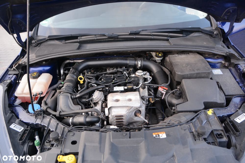 Ford Focus - 33