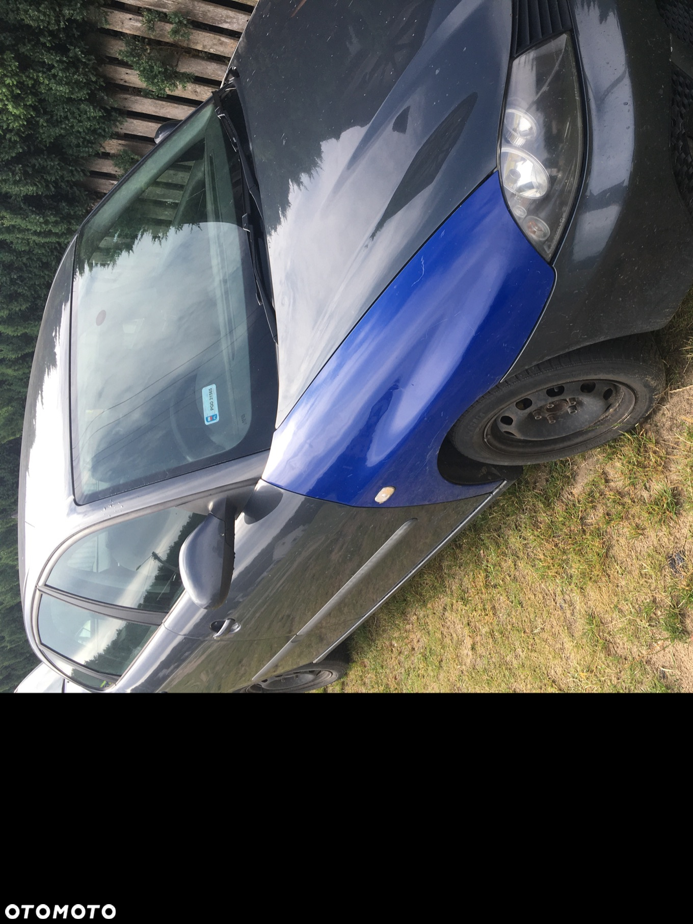 Seat Ibiza - 5