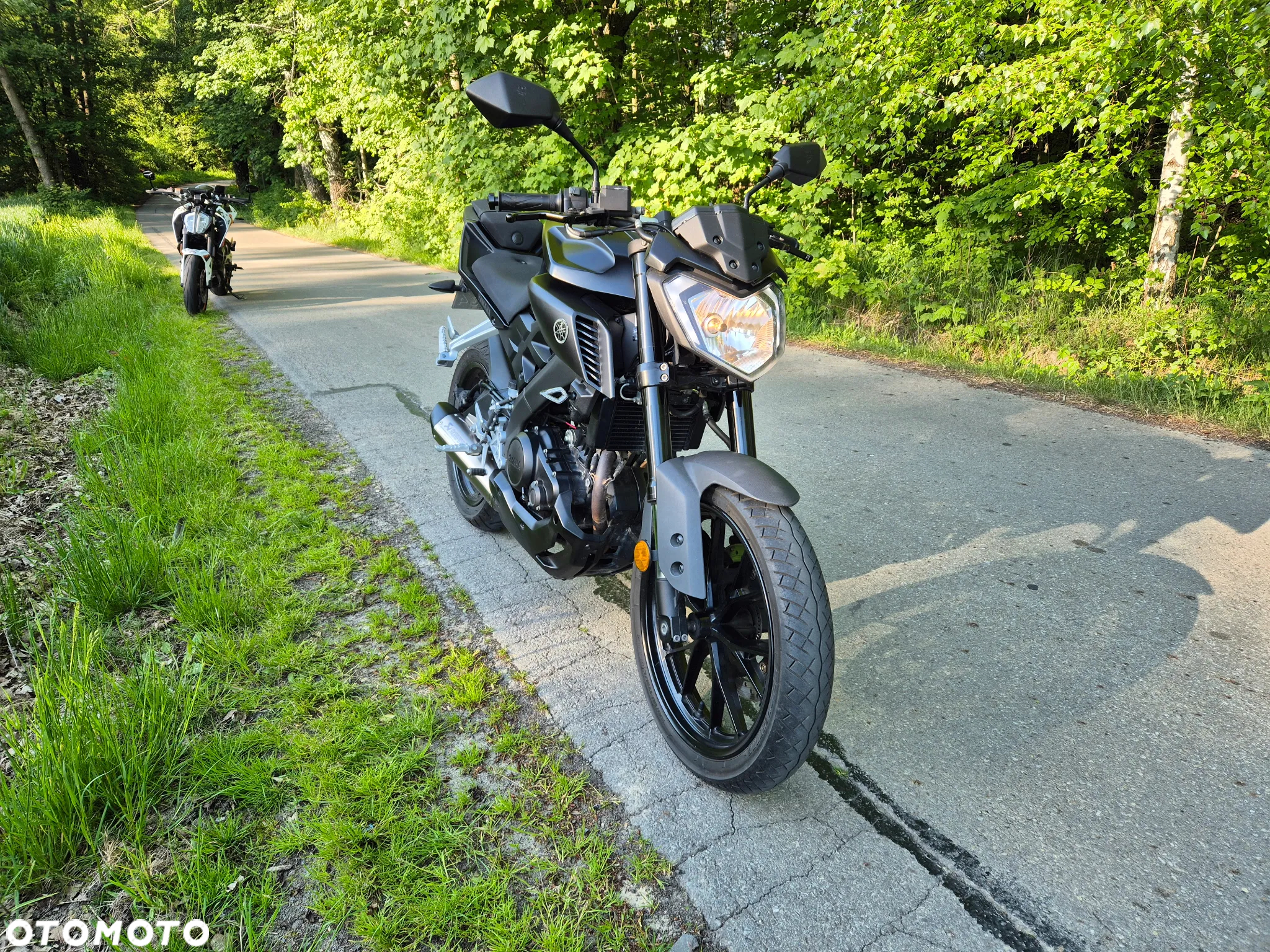Yamaha MT - 6