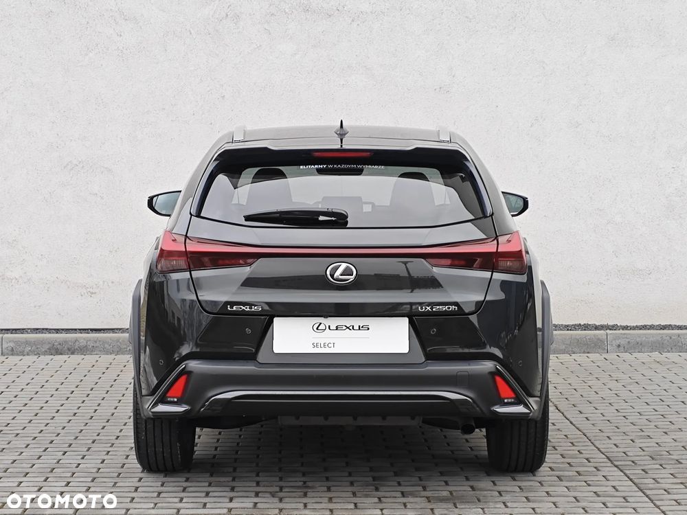 Lexus UX 250h GPF F Sport Design+ 2WD - 9