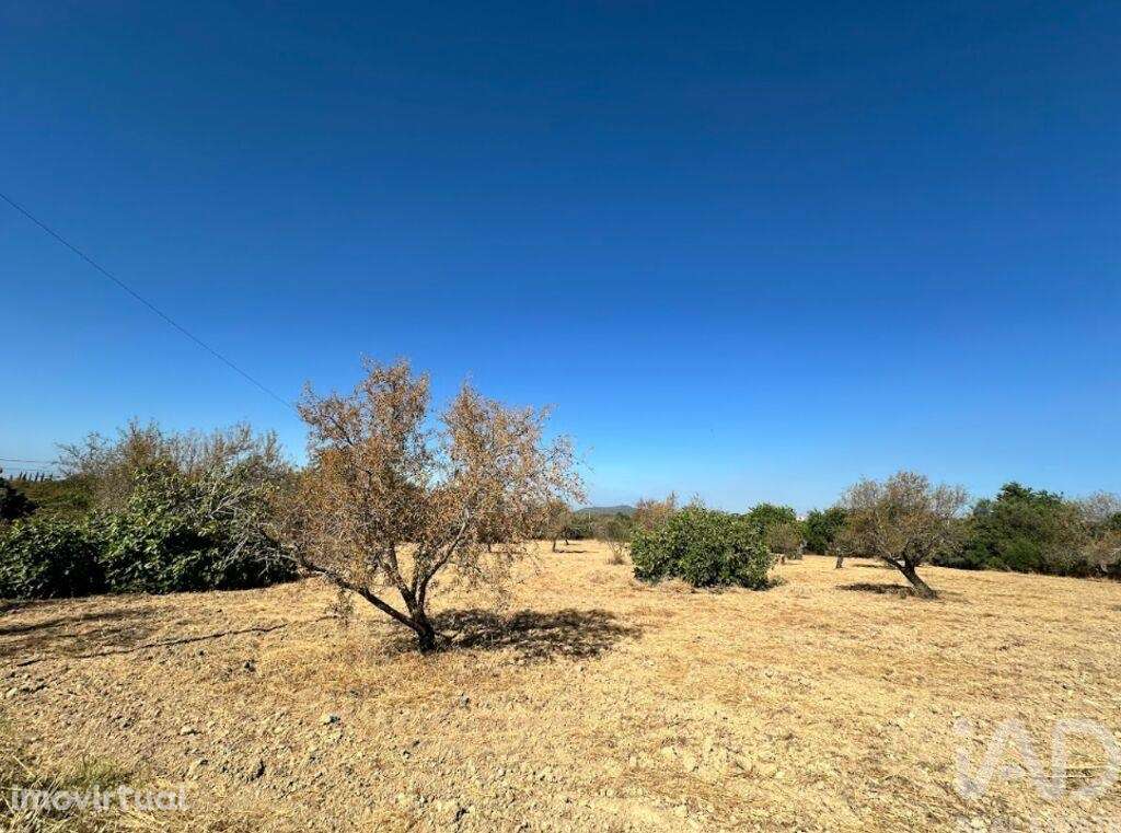 Terreno em Luz de Tavira e Santo Estêvão de 6820,00 m2 - Grande imagem: 3/5