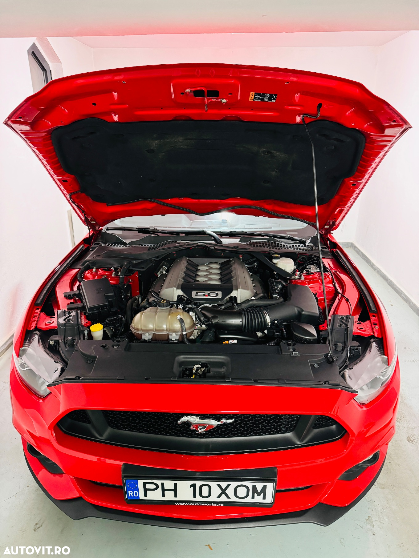 Ford Mustang 5.0 V8 Aut. - 11