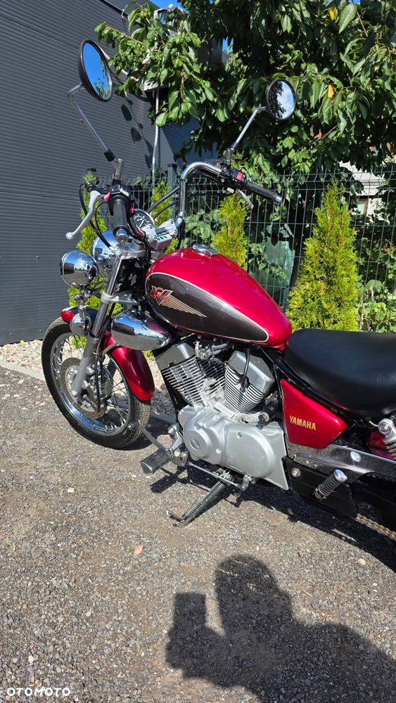 Yamaha Virago - 8