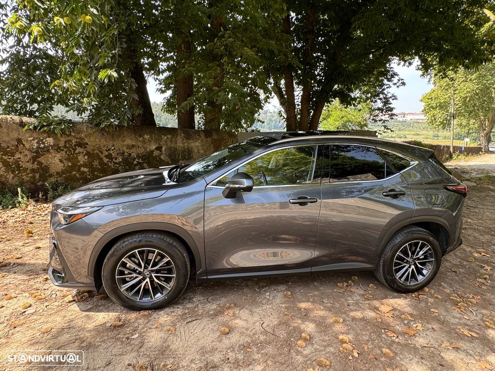 Lexus NX 450h+ Premium - 12