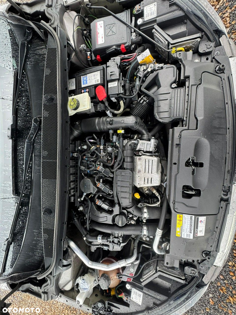 Peugeot 308 - 30
