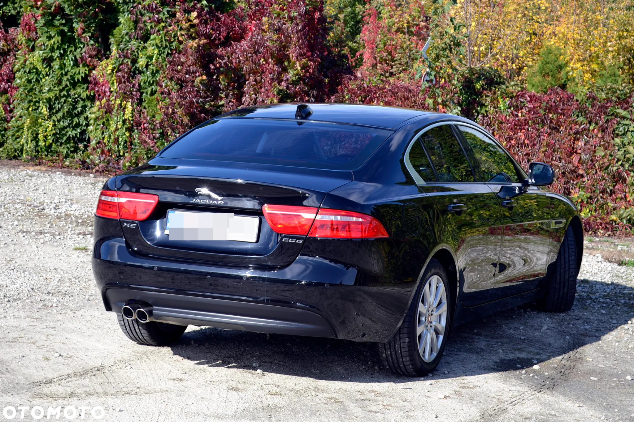 Jaguar XE - 10