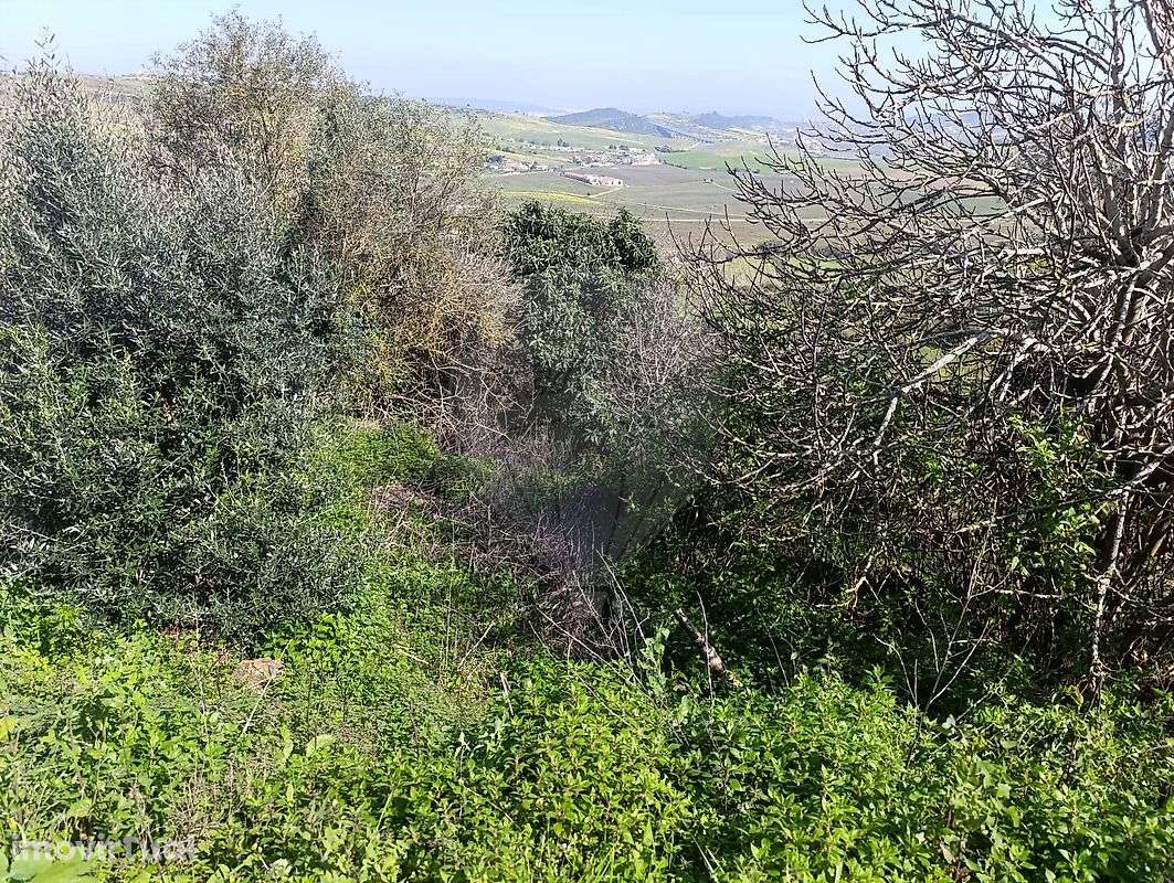 Terreno  para venda - Grande imagem: 5/5