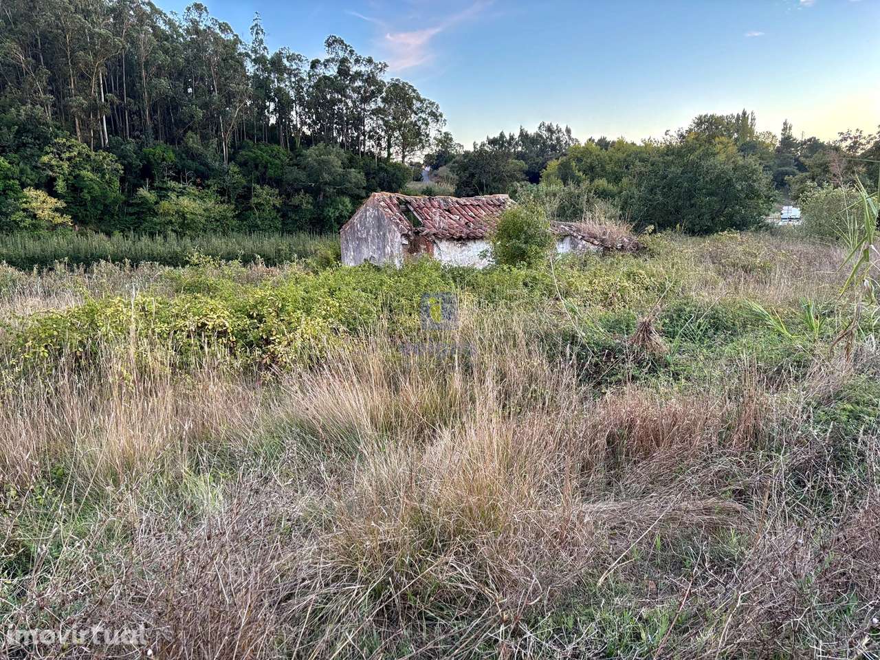 Moradia com Terreno — A dos Negros (Sancheira Grande), Óbidos - Grande imagem: 4/6
