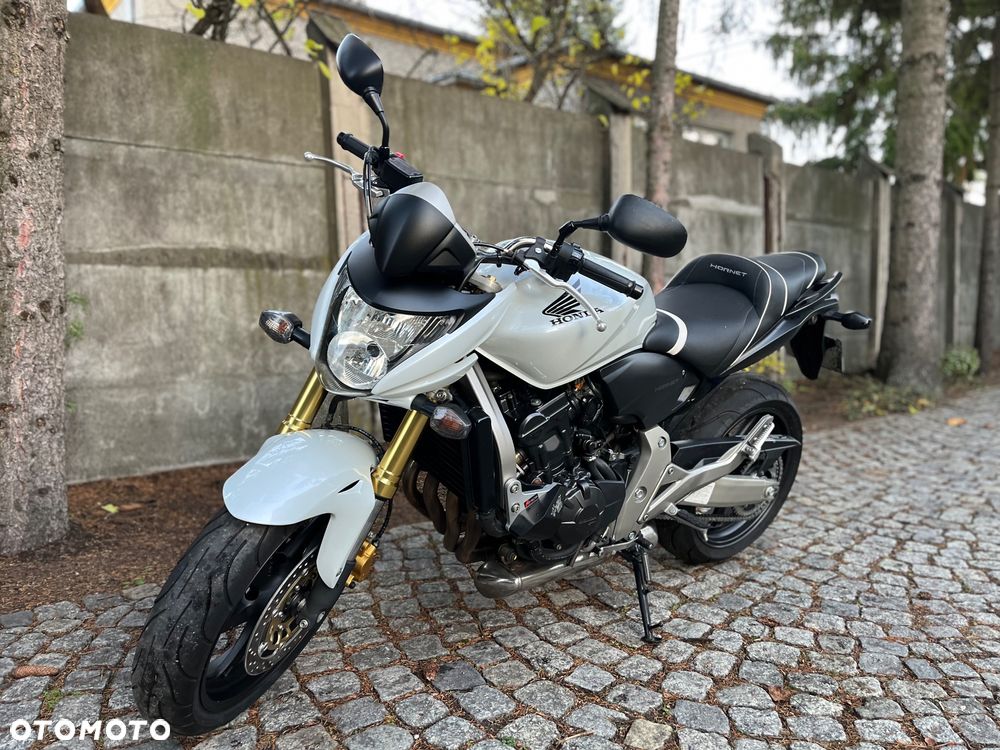 Honda Hornet