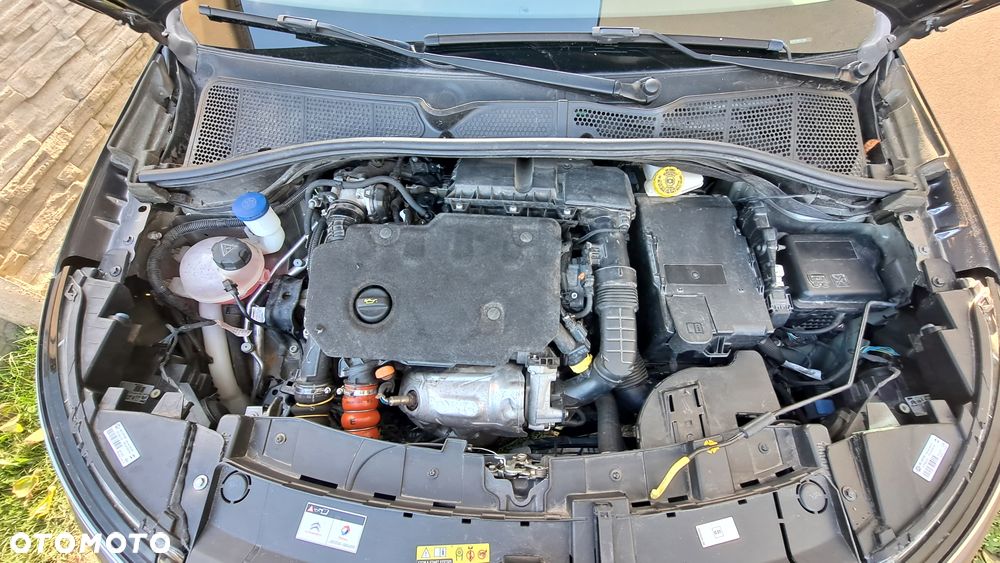 Citroën C4 Cactus - 14