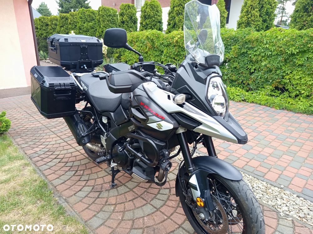 Suzuki DL - 3