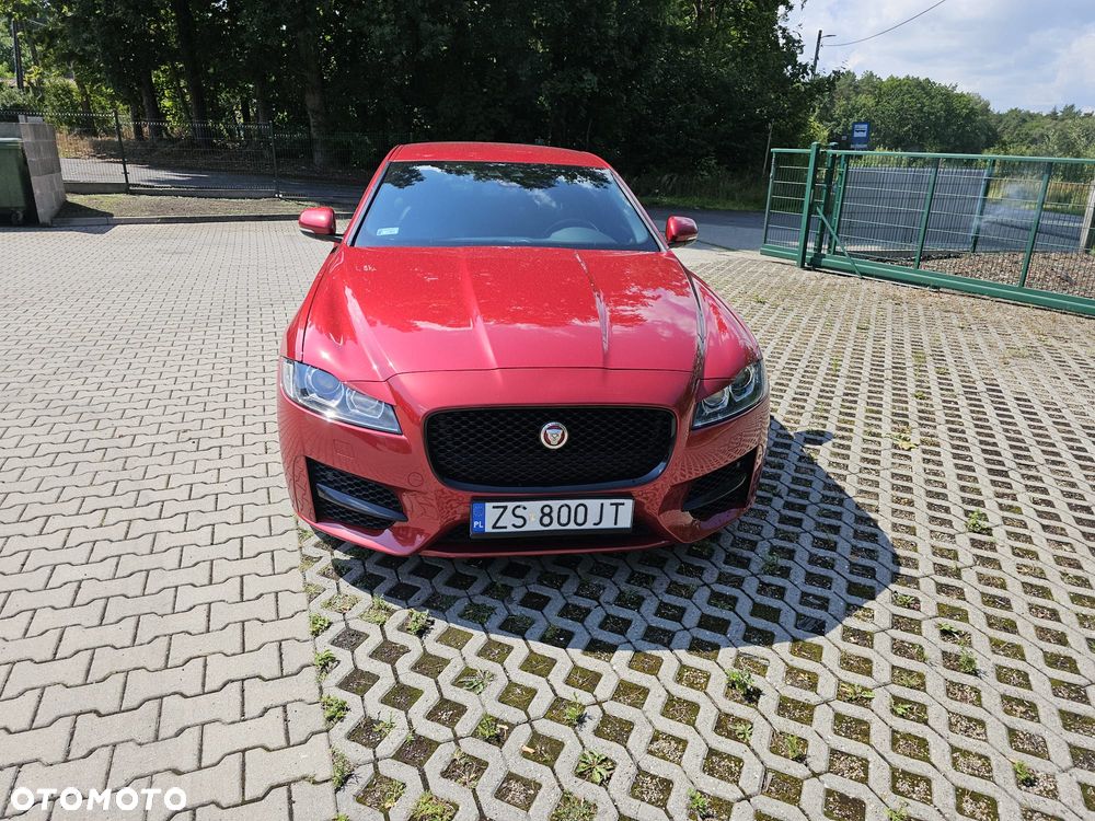Jaguar XF 3.0 TDV6 R-Sport - 3