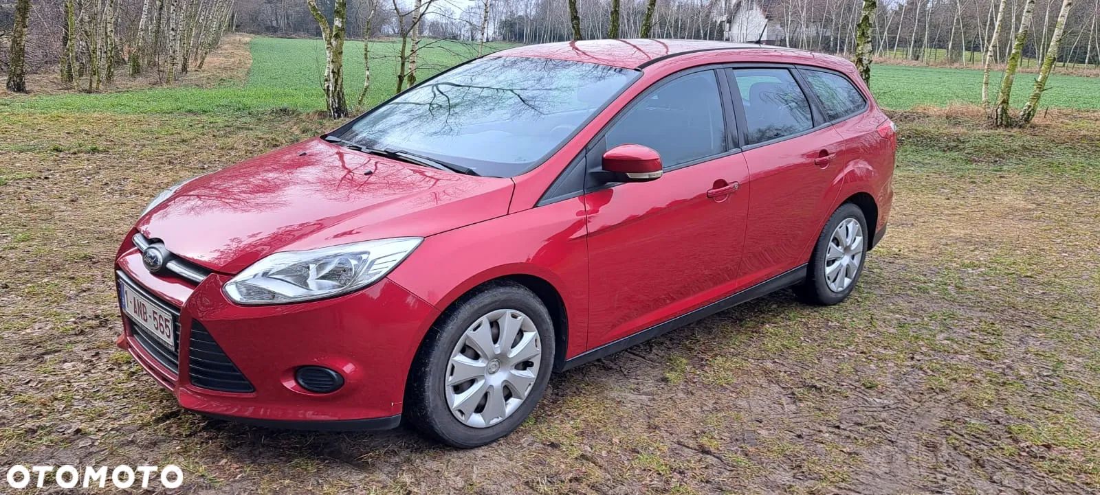 Ford Focus 1.6 TDCi DPF SYNC Edition - 1