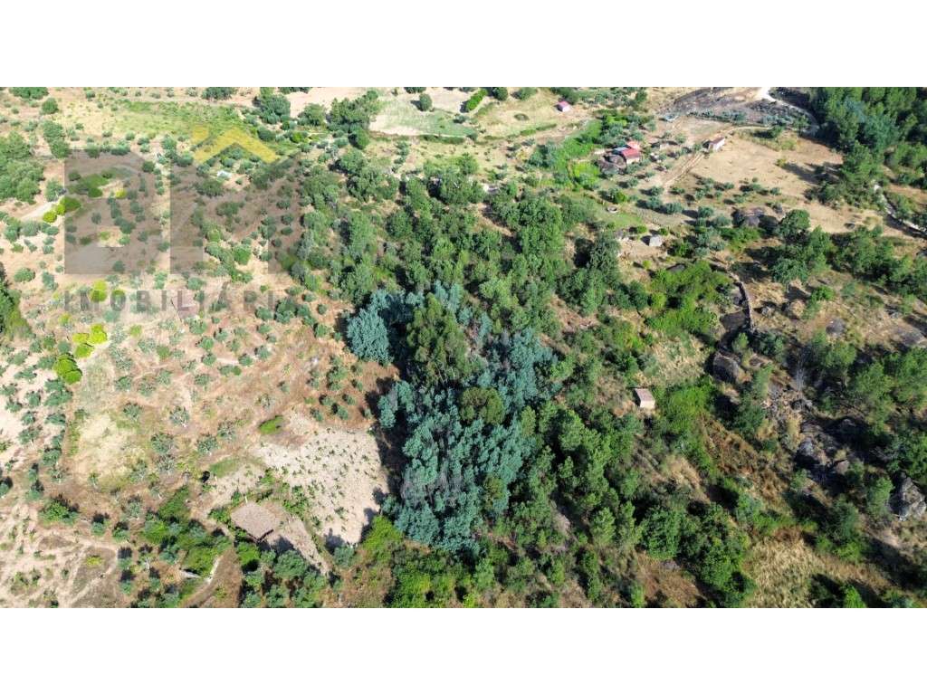 Terreno rustico com 9.320m2 para venda próximo ao Salgueiro do Campo! - Grande imagem: 2/6