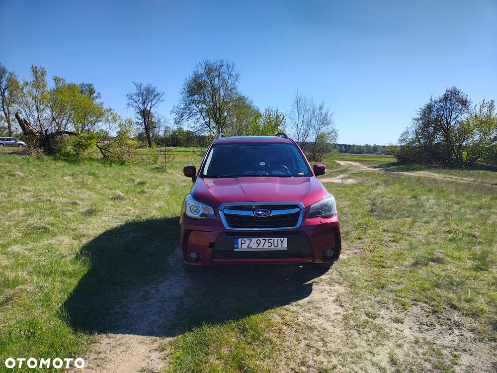 Subaru Forester 2.0 XT Comfort Lineartronic - 2