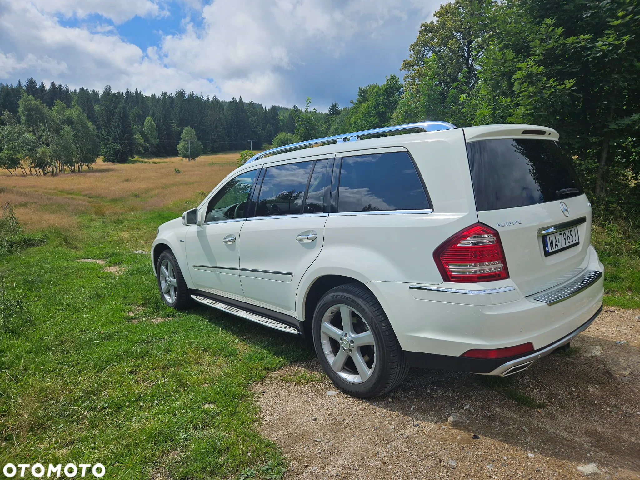 Mercedes-Benz GL 350 BlueTEC 4Matic 7G-TRONIC - 5