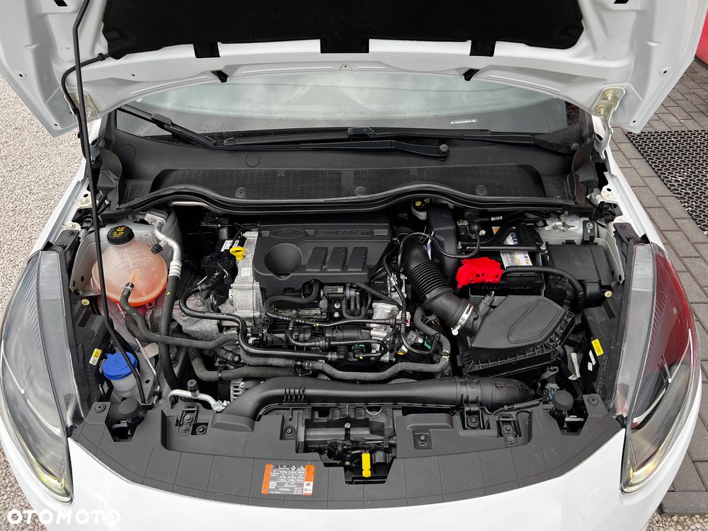 Ford Fiesta - 29