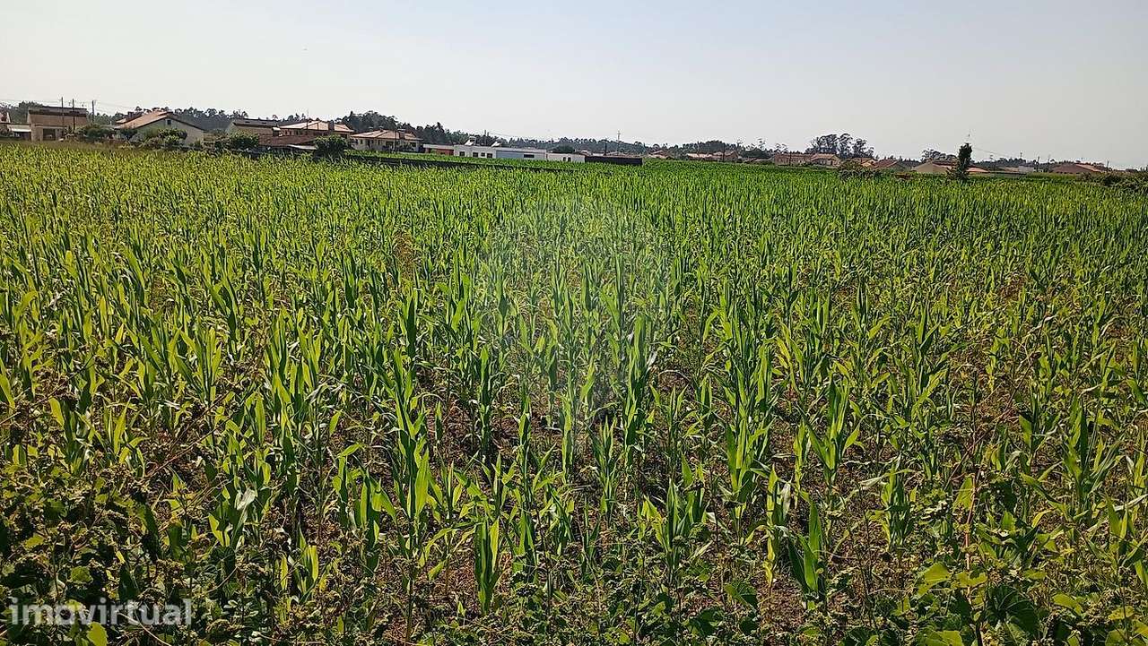 Terreno  para venda - Grande imagem: 4/4