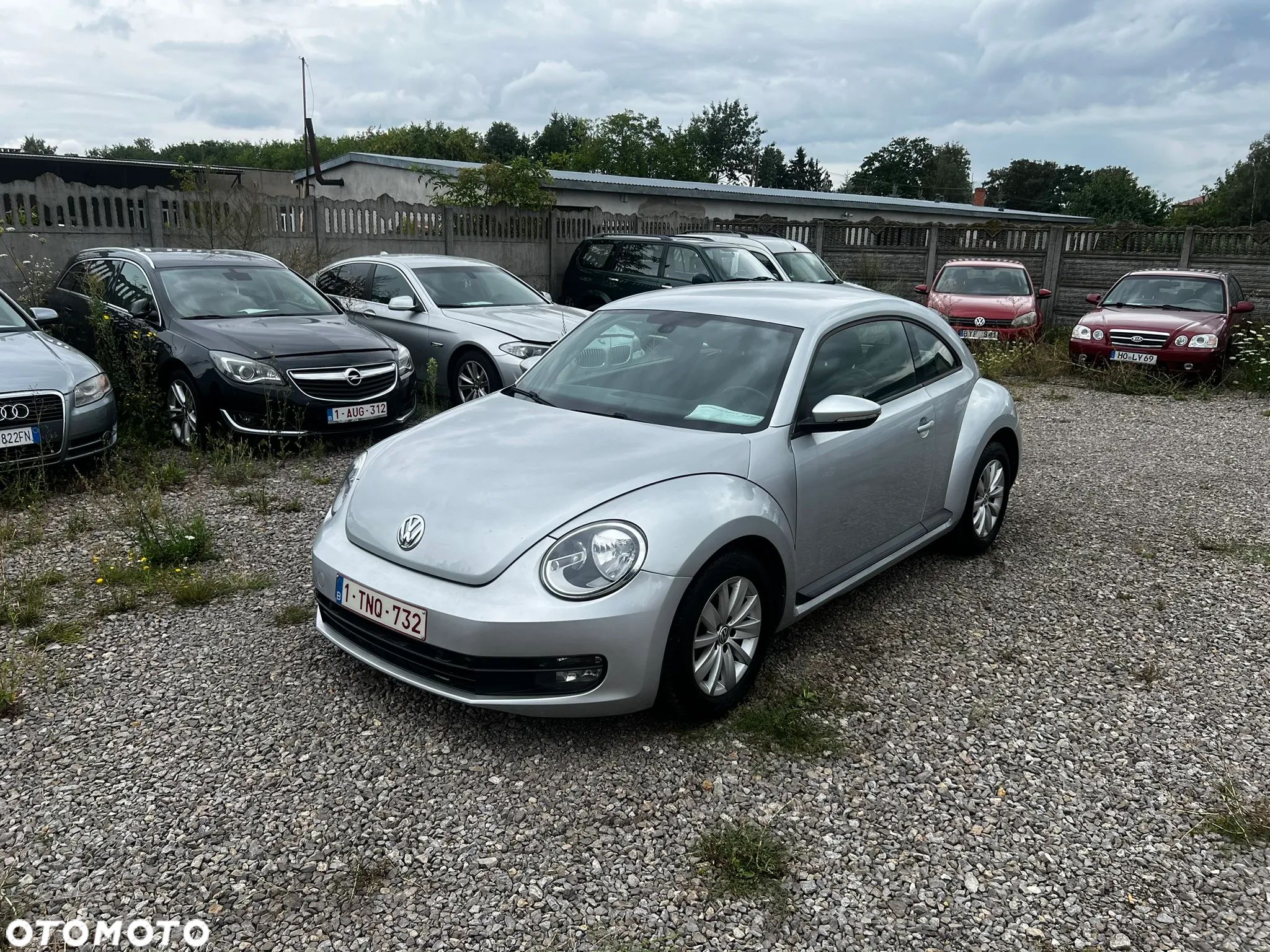 Volkswagen Beetle The 1.6 TDI DPF - 1