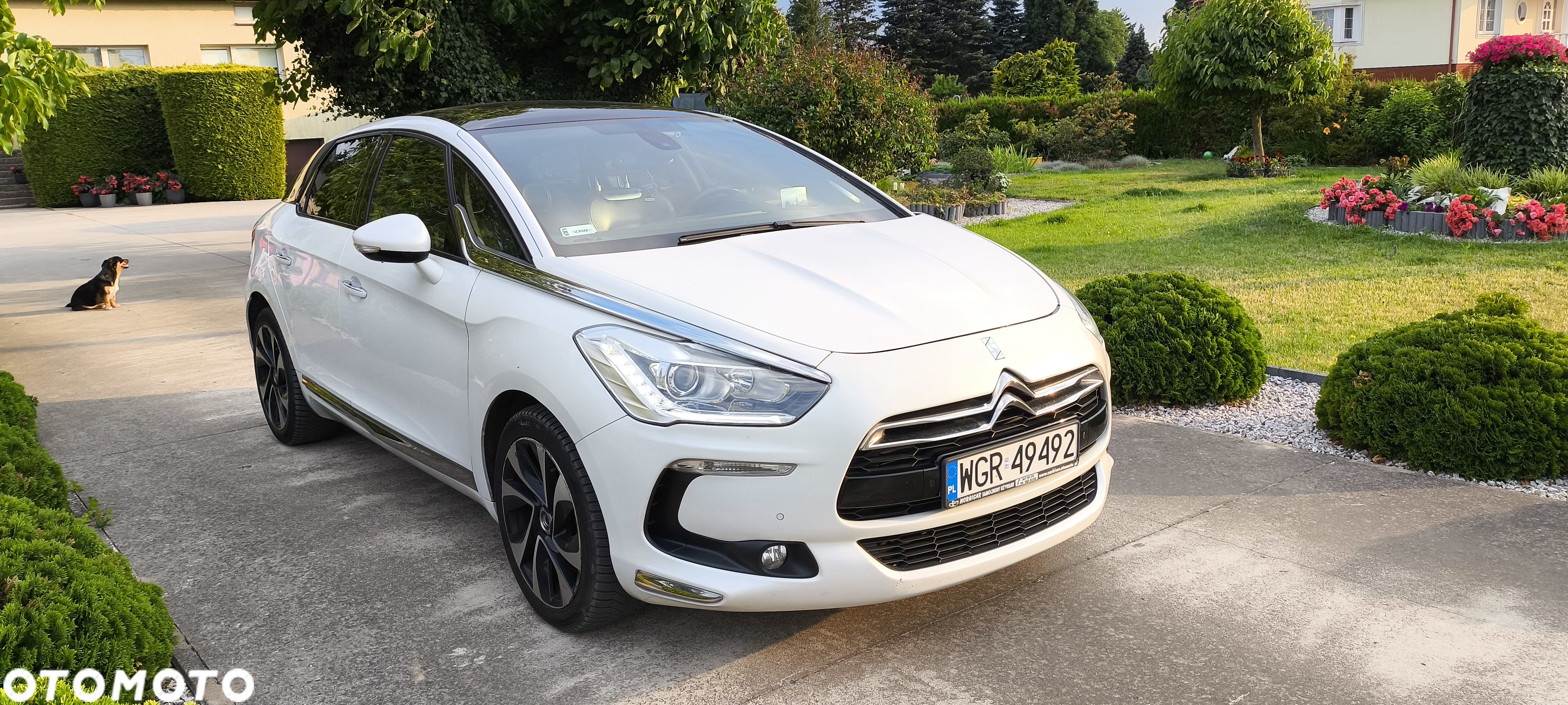 Citroën DS5 2.0 BlueHDi SportChic - 1