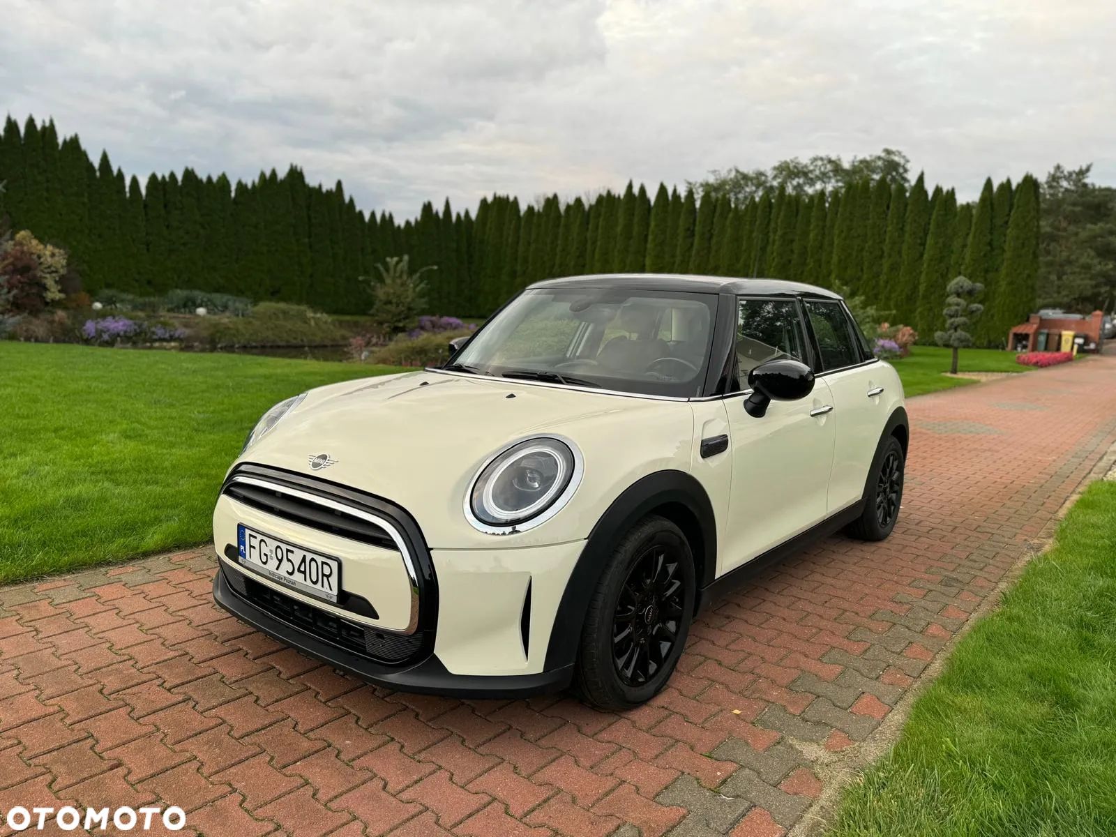 MINI Cooper Multitone Edition - 1