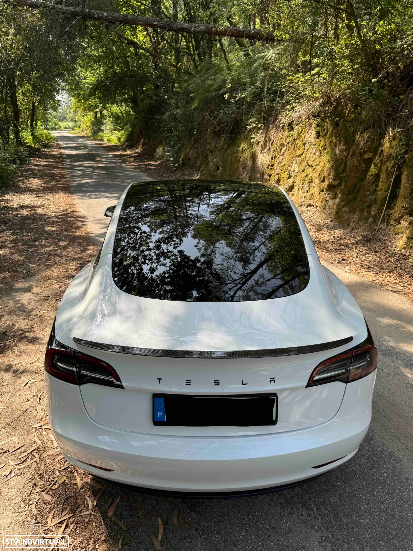 Tesla Model 3 Tração Traseira Premium - 6