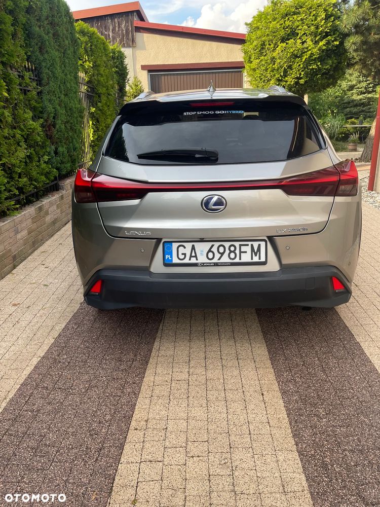 Lexus UX 200 Optimum 2WD - 6