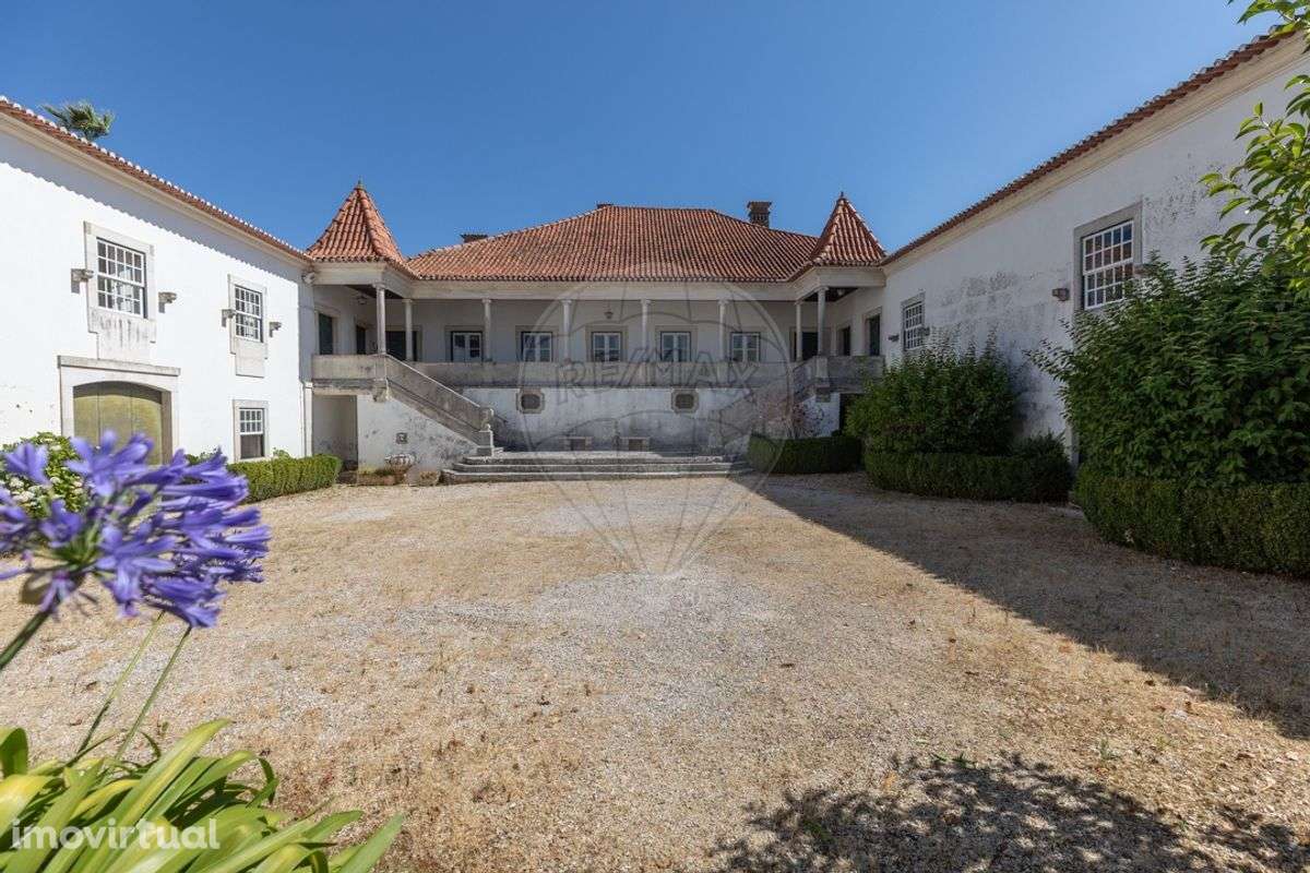 Solar T13 para venda - Grande imagem: 5/48