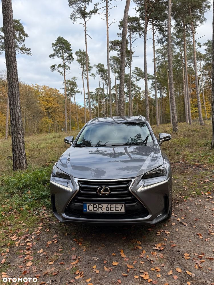 Lexus NX 200t Comfort AWD - 8