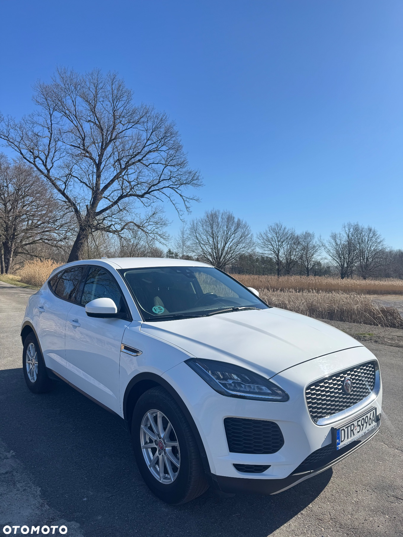 Jaguar E-Pace D180 AWD - 18