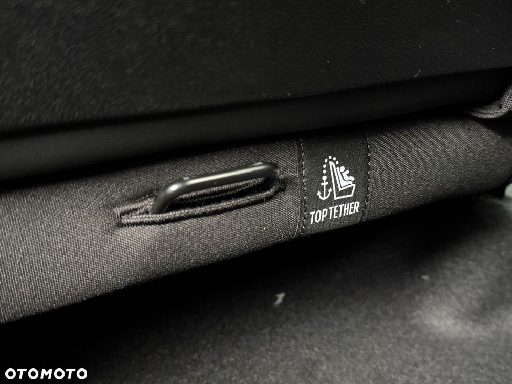 Cupra Terramar 2.0 TSI 4Drive DSG - 40