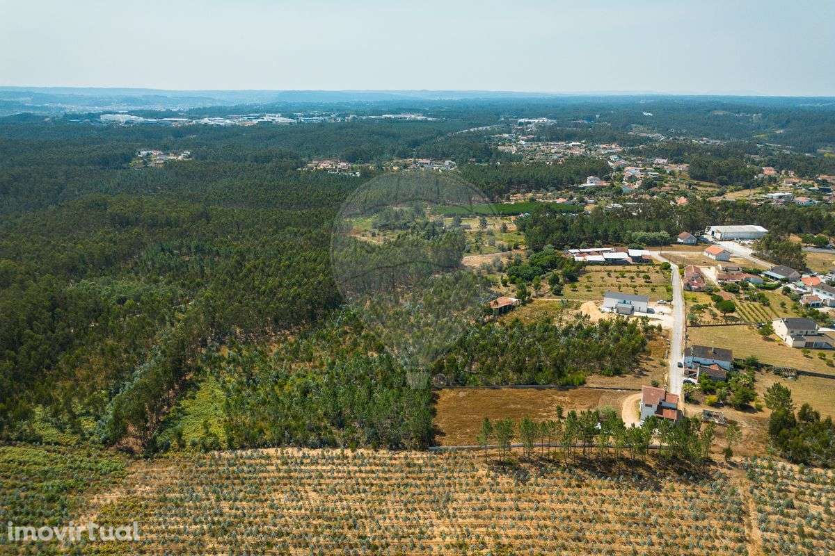 Terreno  para venda - Grande imagem: 4/18