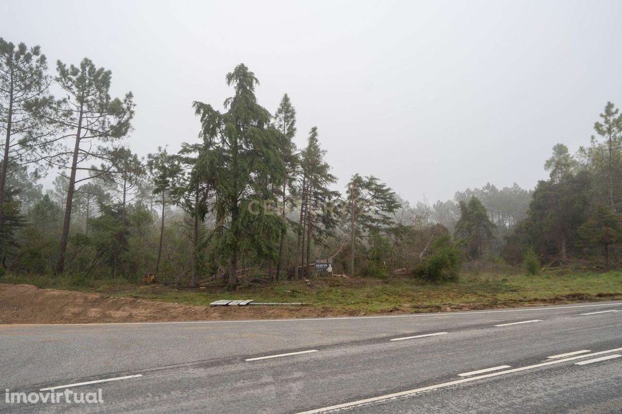 Terreno em Miranda do Corvo- Oportunidade Única por 37.000€ - Grande imagem: 2/9