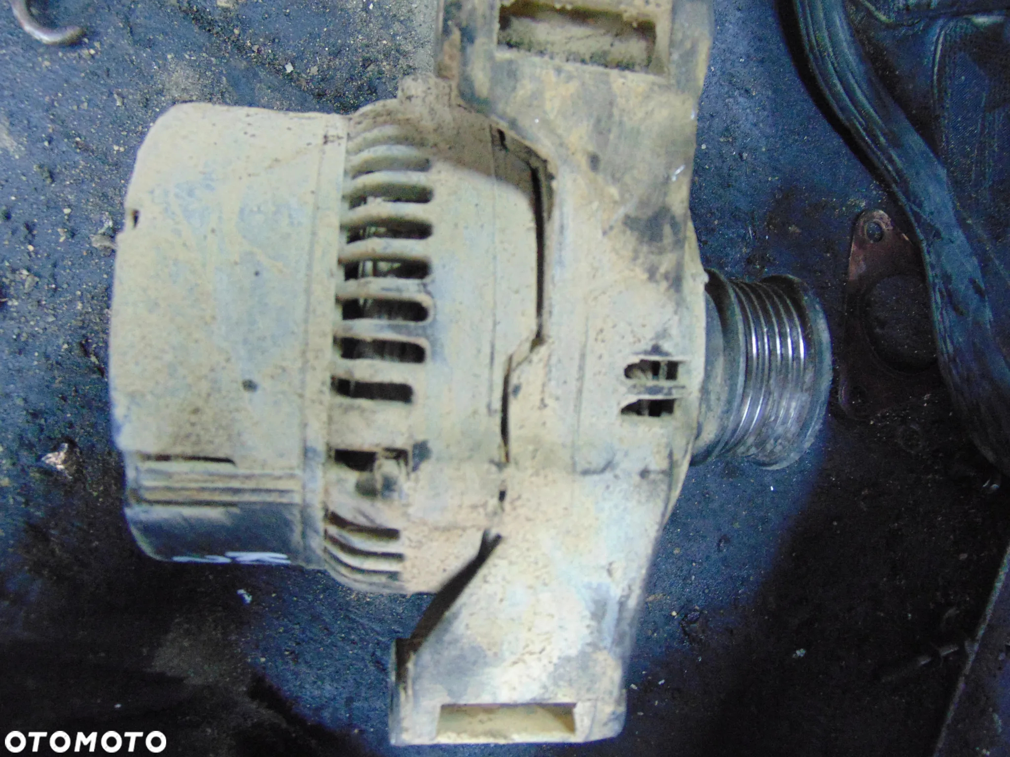 Alternator Musso/Kaczka 2,9 TD - 3