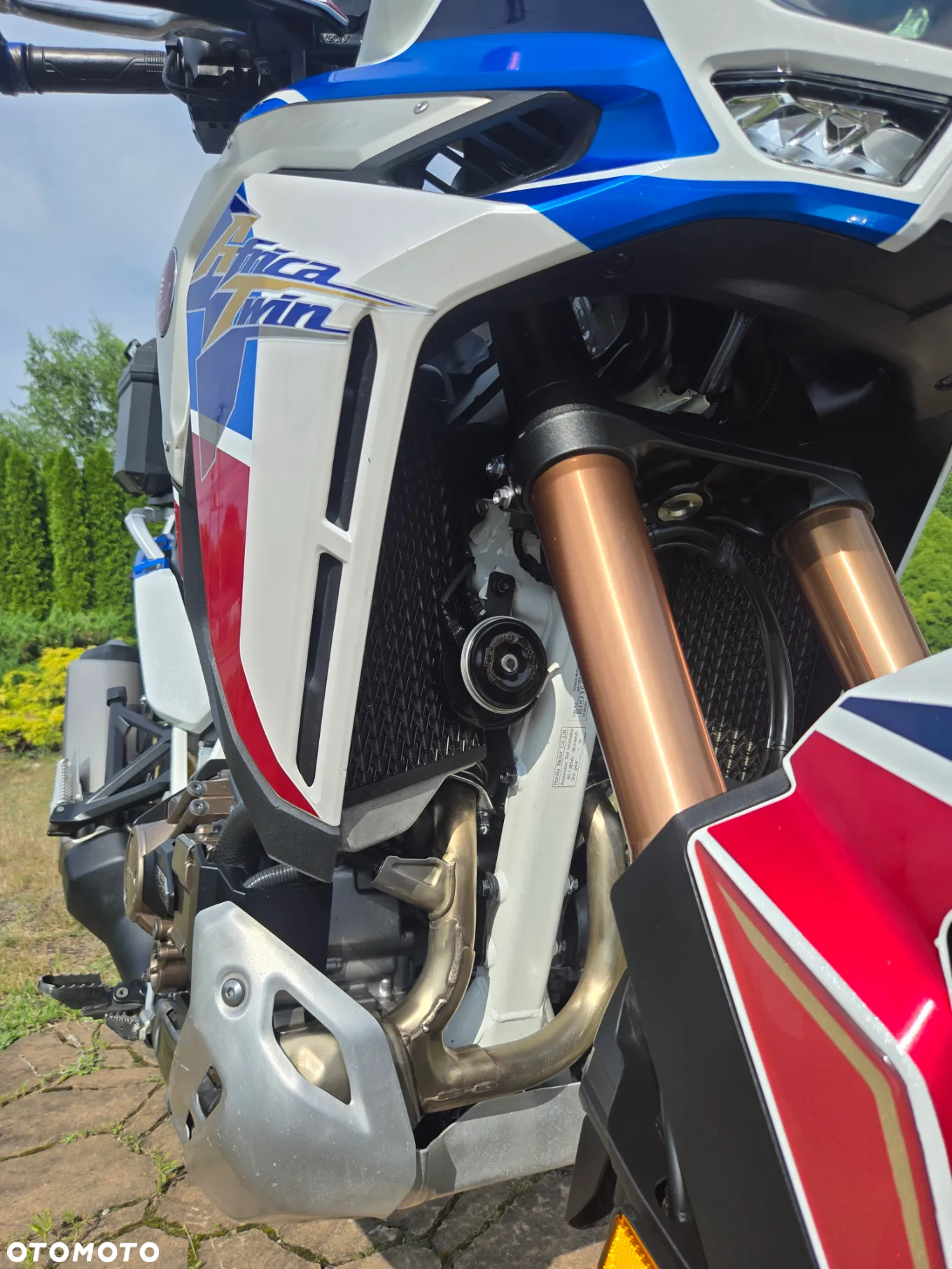 Honda CRF - 25