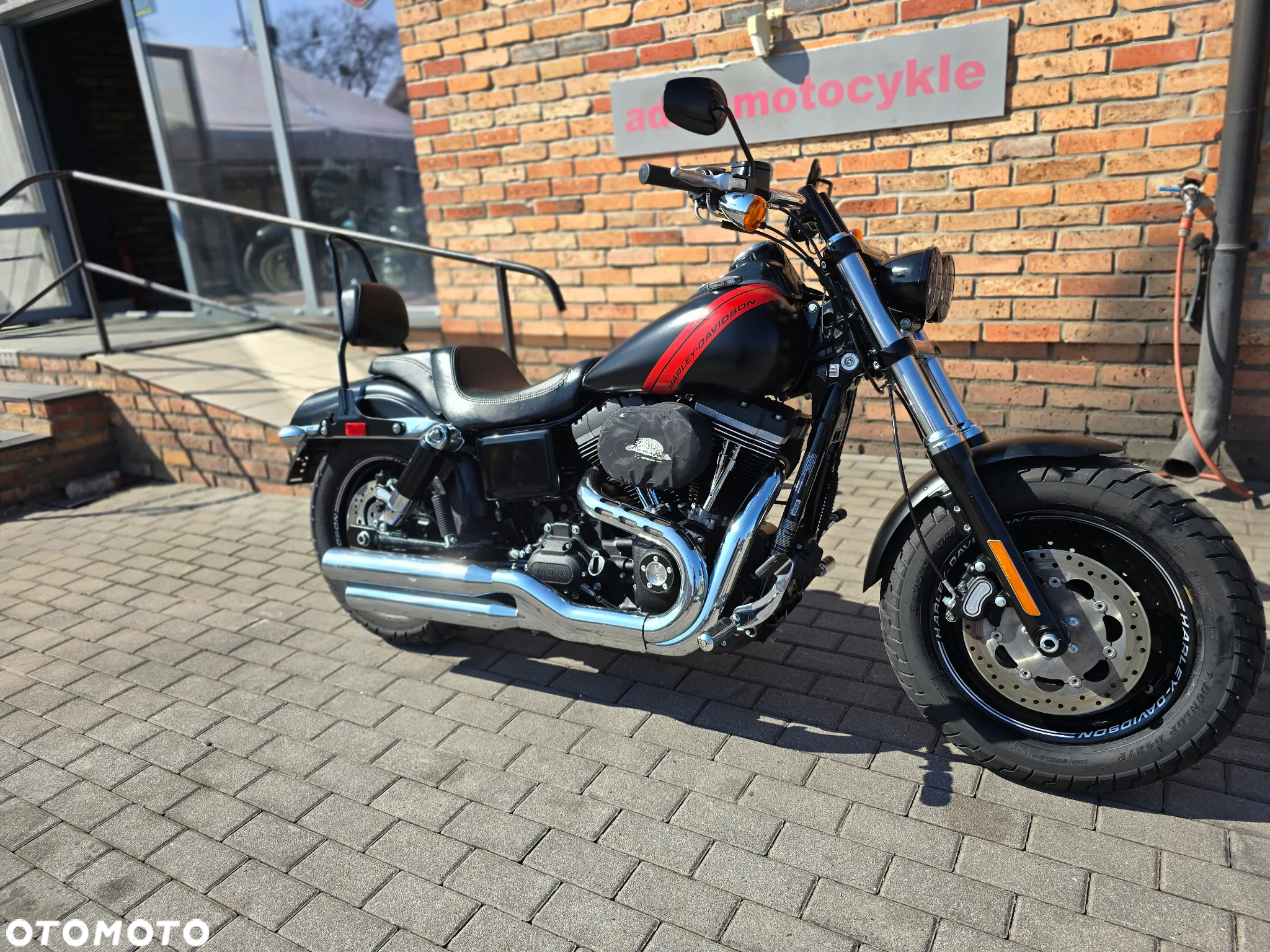 Harley-Davidson Dyna Fat Bob - 3