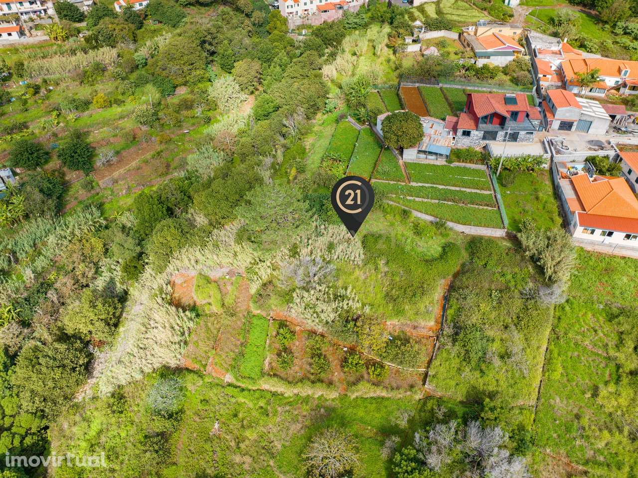 Terreno Rústico Agroflorestal de 900 m2 - Santa Cruz, Madeira - Grande imagem: 5/15