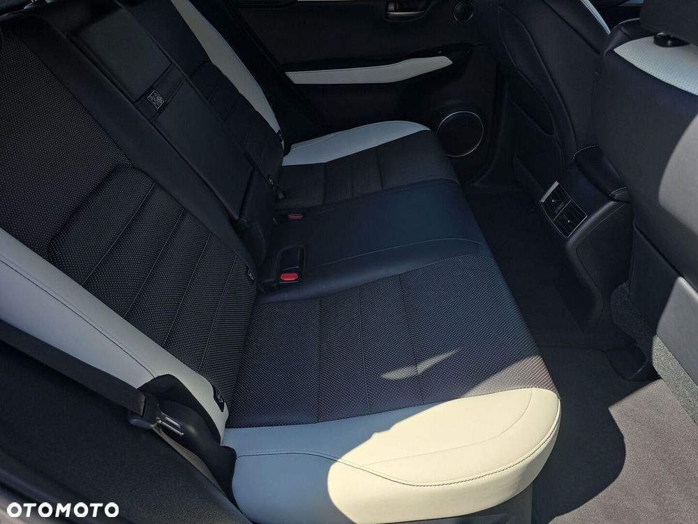 Lexus NX 300h F Sport Edition AWD - 10