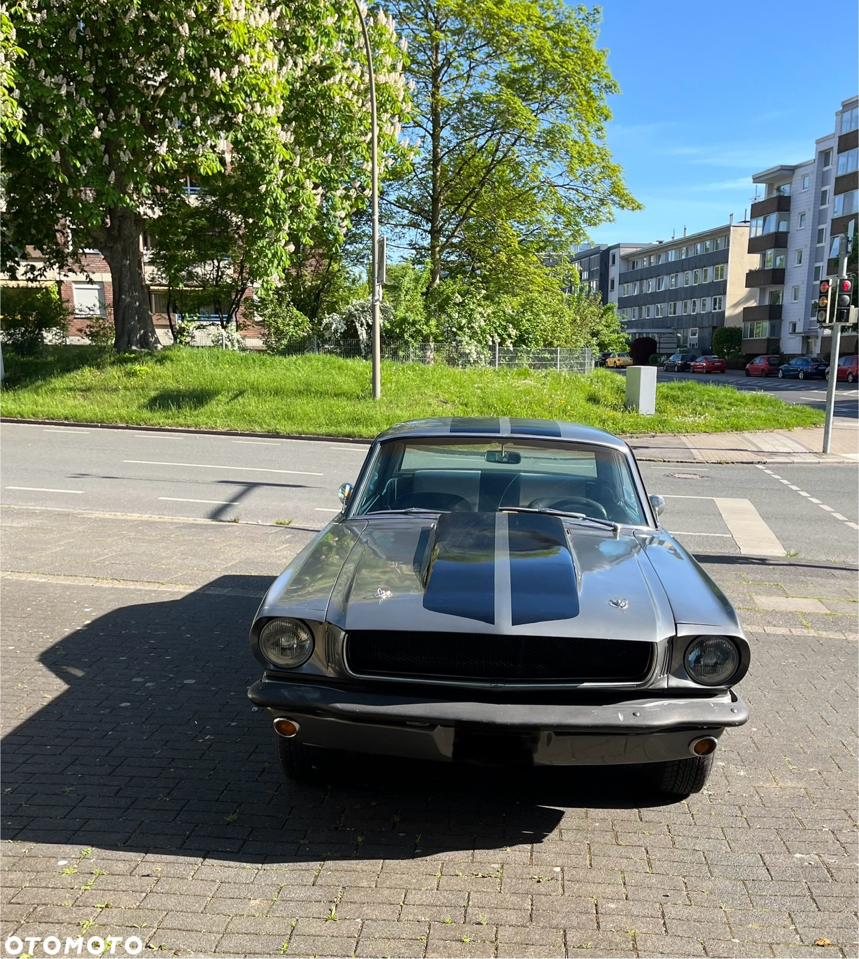 Ford Mustang - 6