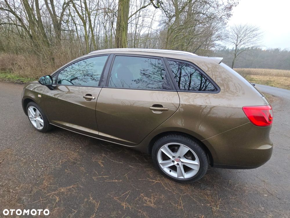 Seat Ibiza 1.4 16V Copa - 19
