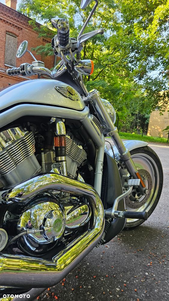 Harley-Davidson V-Rod Street Rod - 9