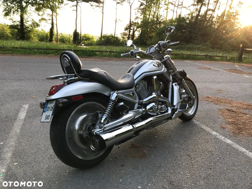 Harley-Davidson V-Rod Street Rod - 2