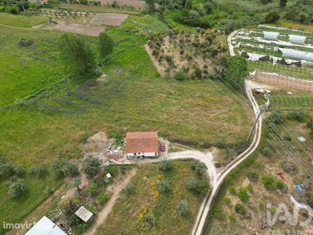 Terreno Agrícola em Porto de Mós - São João Baptista e São Pedro - Grande imagem: 3/4