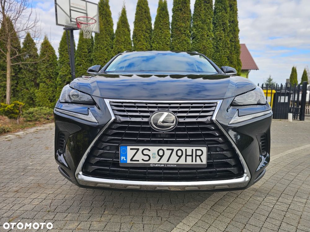 Lexus NX 300 Comfort AWD - 3