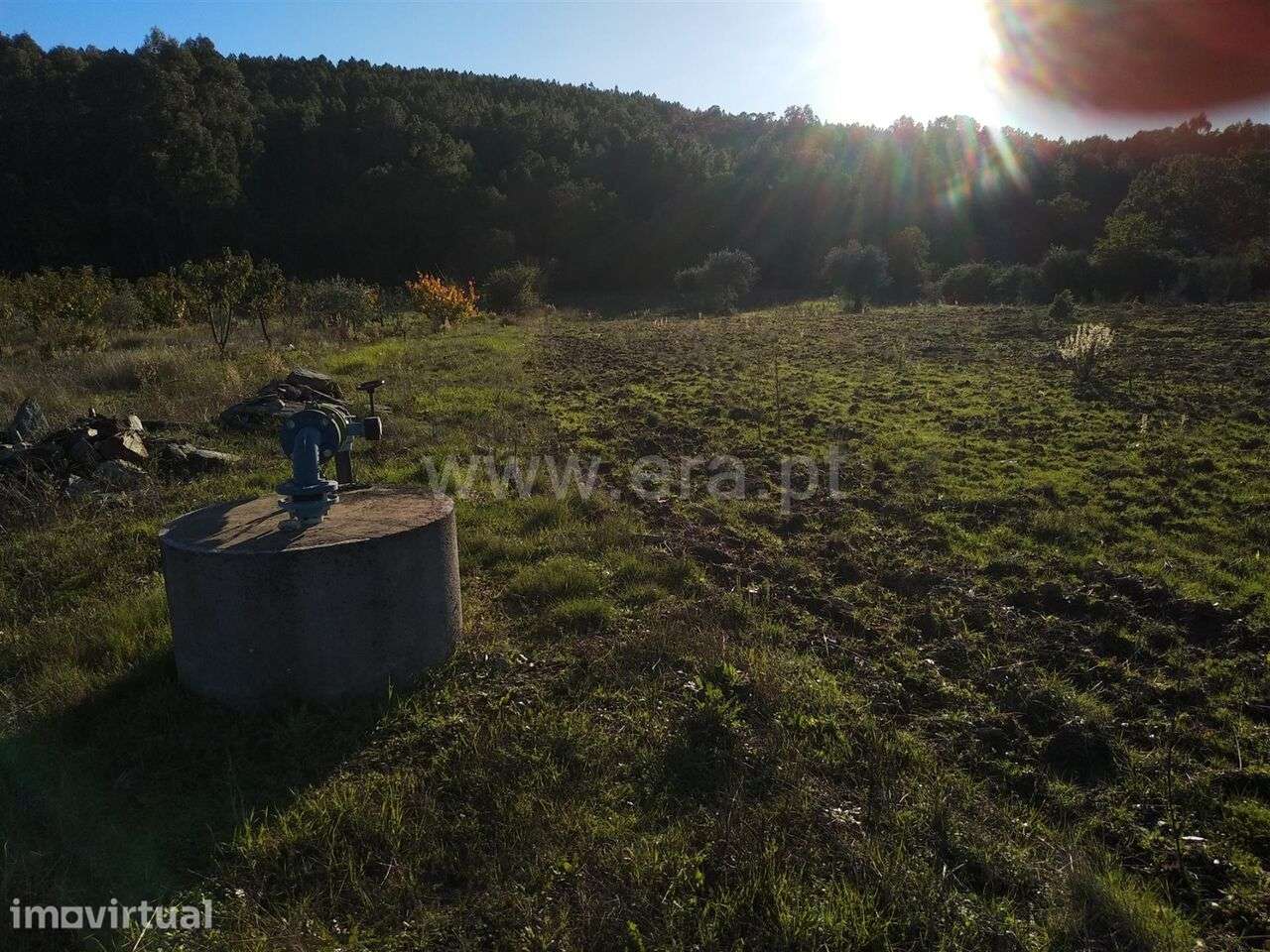 Terreno com ruina / Fundão, Enxames - Grande imagem: 3/3