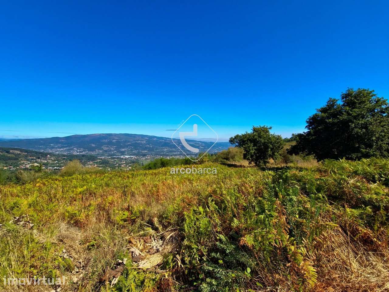 Terreno Florestal com Vista Panorâmica – Gondufe, Ponte de Lima - Grande imagem: 4/29