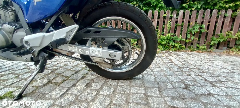 Honda Transalp - 14