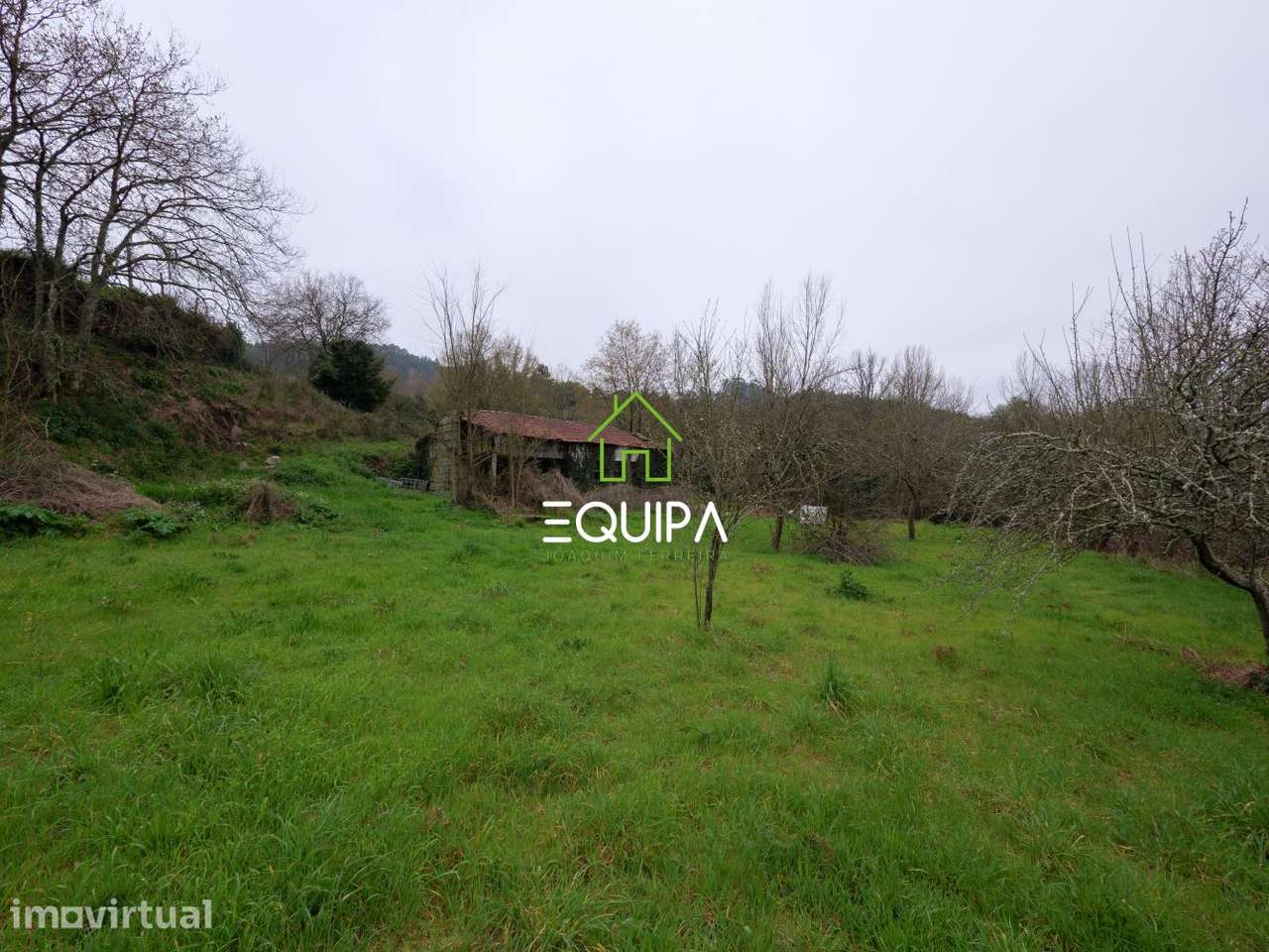Quinta em Polvoreira - com mais de 3hectares - Grande imagem: 5/15