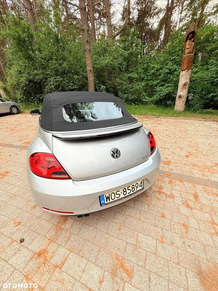 Volkswagen Beetle - 19